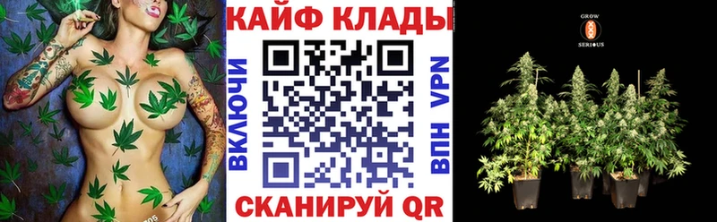 Купить закладку Палласовка КОКАИН  Меф мяу мяу  ГАШ  Бошки Шишки 